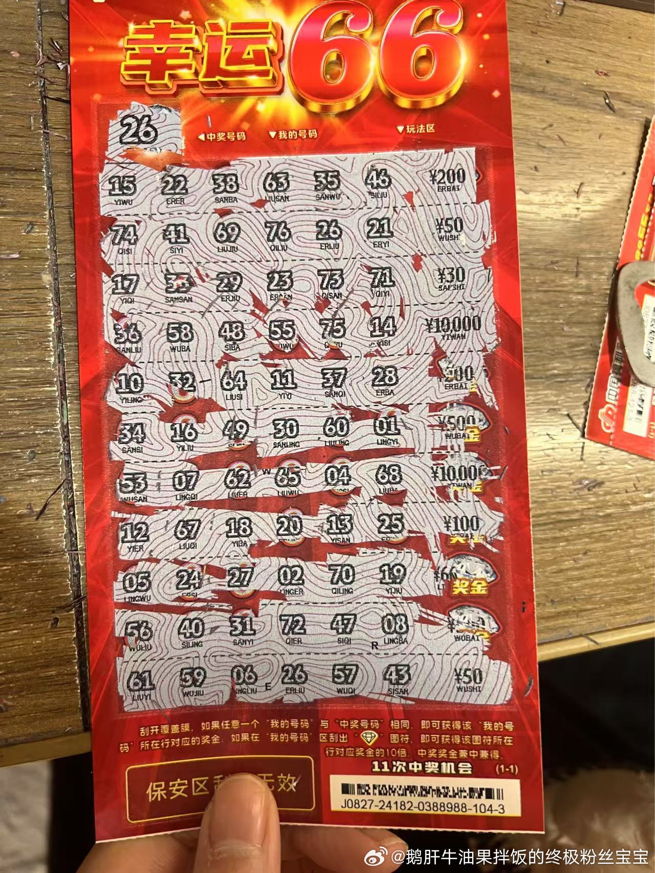 婆家一肖一码的独特魅力与奥秘，探寻背后的故事与意义，探寻婆家一肖一码，独特魅力的背后故事与奥秘