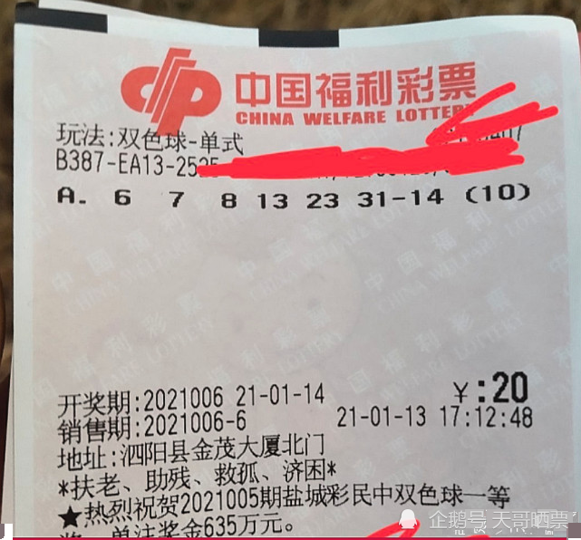 香港六合彩开奖结果及今晚开奖记录解析，香港六合彩开奖结果与解析，今晚开奖记录揭秘