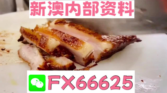 新奥长期免费资料大全，探索与利用的无尽资源，新奥长期免费资料大全，无尽资源的探索与利用