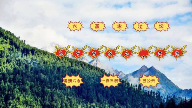 澳门七月初六开奖结果查询，全面解析与实用指南，澳门七月初六开奖结果解析与查询实用指南