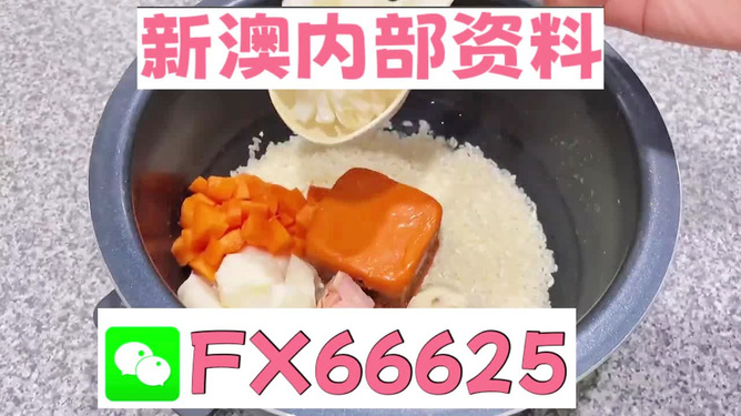 新奥精准免费资料提供，探索与利用，新奥精准免费资料探索与利用指南