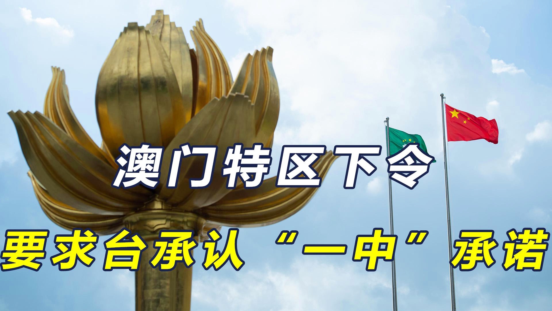 澳门一码一肖一特一中，揭秘真相，公开与否？，澳门一码一肖一特一中真相揭秘，公开还是神秘？