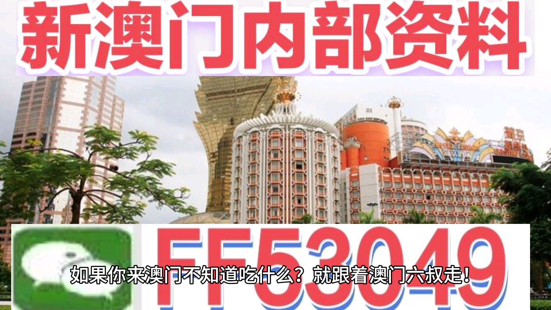 澳门特马今晚开奖预告，探索2025年特马彩票开奖现场及图片回顾，澳门特马预告，2025年彩票开奖现场揭秘与图片回顾
