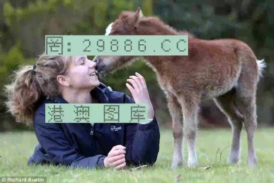 澳门今晚必开一肖一特，深度解析与预测，澳门今晚生肖特码深度解析与预测，一肖一特必开趋势探讨