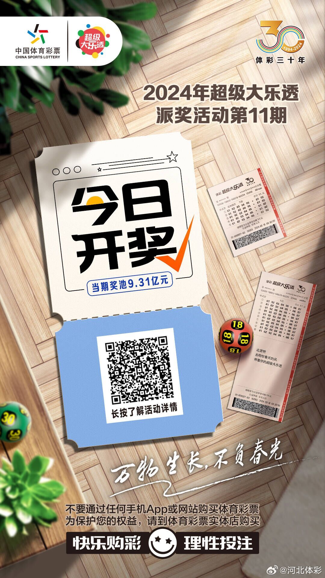 白小姐一肖一码今晚开奖——揭秘彩票背后的秘密与策略，揭秘彩票背后的秘密与策略，白小姐一肖一码今晚开奖预测
