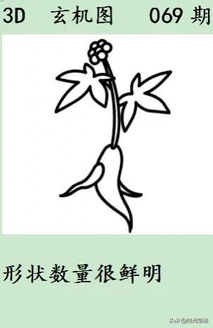 二四六玄机图资料大全，深度解析与探索，二四六玄机图资料大全，深度解析与探索之旅