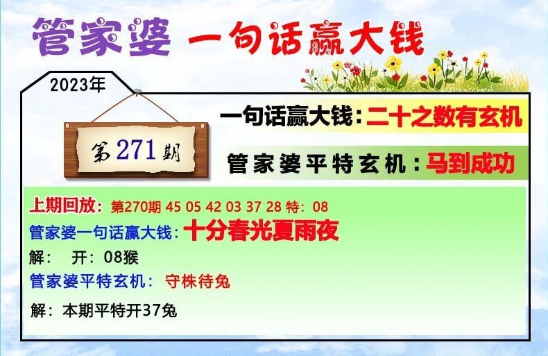 管家婆一肖一码，揭秘背后的神秘面纱，揭秘管家婆一肖一码背后的神秘面纱