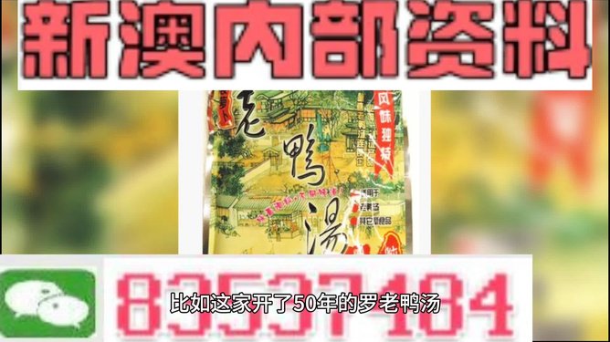 新澳正版资料免费大全——全面解析与获取指南，新澳正版资料免费大全，全面解析与获取攻略