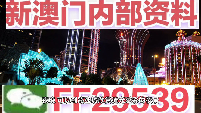 澳门今晚必开一肖一特，探索生肖彩票的魅力与预测，澳门生肖彩票探索，魅力揭秘与今晚预测一肖一特