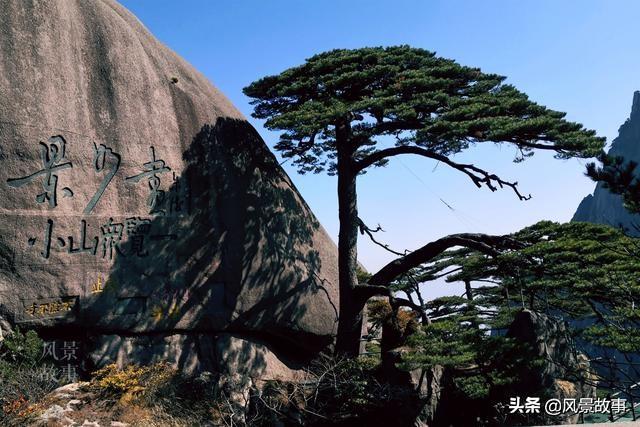 澳门四不像论坛精准资料，深度解析与探索，澳门四不像论坛精准资料深度解析与探索揭秘