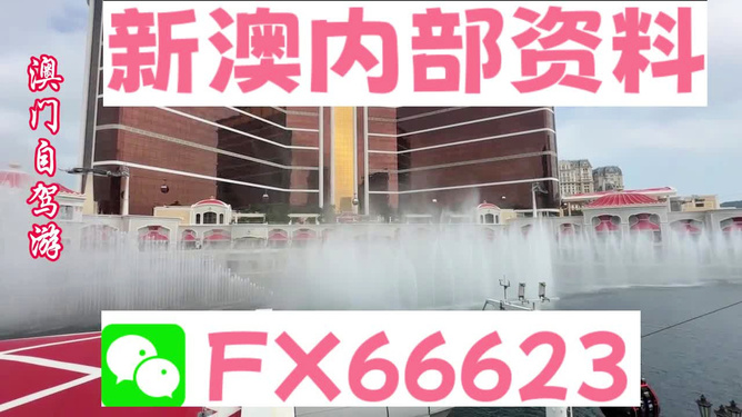香港内部精准资料一码，揭秘真相与深度解析，香港内部精准资料一码揭秘与深度解析