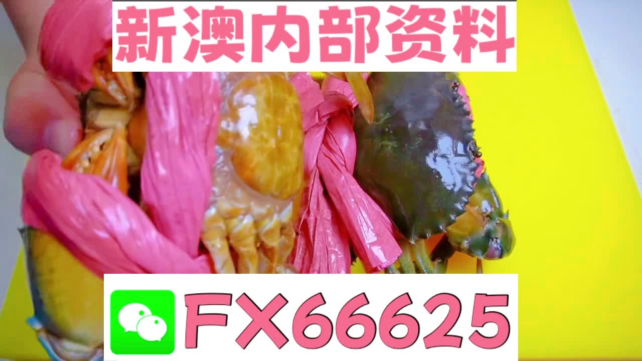 新澳资料免费精准期期准，探索与解析，新澳资料免费精准探索与解析指南