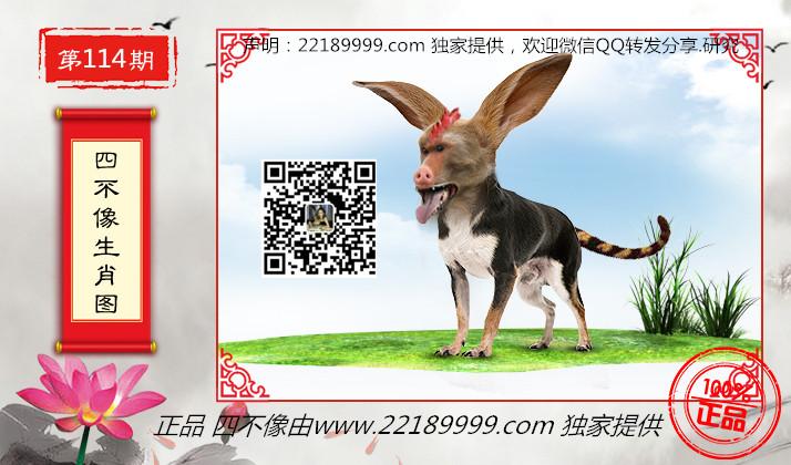 澳门四不像特马，探索神秘与独特之处，澳门四不像特马，神秘独特之处的探索