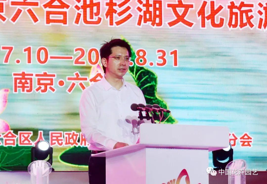 澳门六开开奖结果查询，轻松掌握最新开奖动态，澳门六开彩最新开奖结果查询，轻松掌握最新动态
