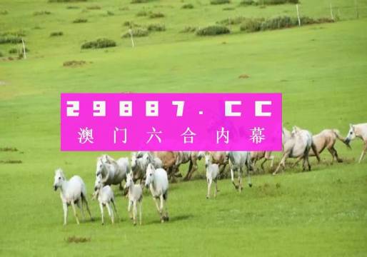 澳门内部资料精准大全2023，深度探索与最新资讯整合，澳门内部资料深度探索与最新资讯整合 2023