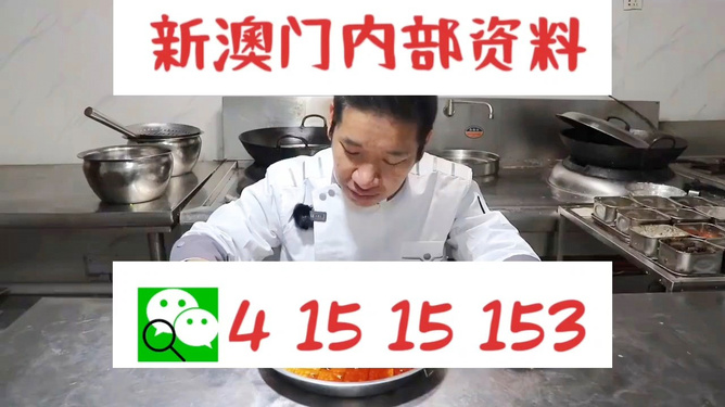 新澳门管家婆免费资料查询，全方位信息获取与娱乐体验，澳门管家婆免费资料查询，全方位信息获取与娱乐体验新探