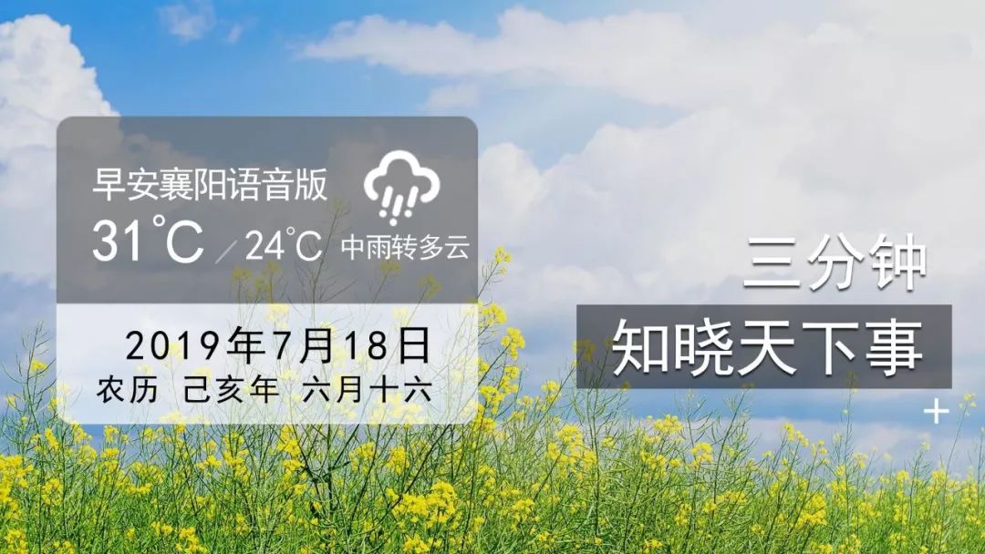 每期必中三中三，揭秘彩票背后的秘密策略，揭秘彩票中奖背后的秘密策略，每期必中三中三！