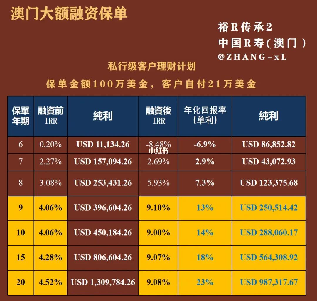 澳门最精准真正精准大金，探索澳门博彩业的秘密武器，澳门博彩业揭秘，精准大金探索之旅
