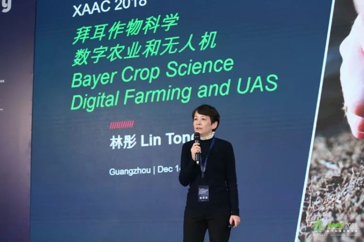 揭秘7777788888精准新传真，一切你所需要知道的，揭秘精准新传真，你所需要知道的关于77777与88888的一切秘密