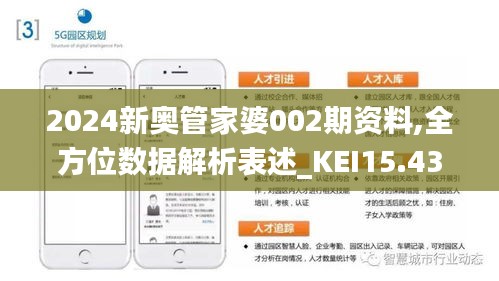 新奥管家婆资料正版，全面解析与优势洞察，新奥管家婆资料正版解析与优势洞察