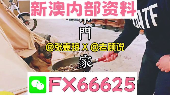 新澳门2025年资料大全管家婆，探索与预测，澳门未来展望，2025年资料大全与预测分析