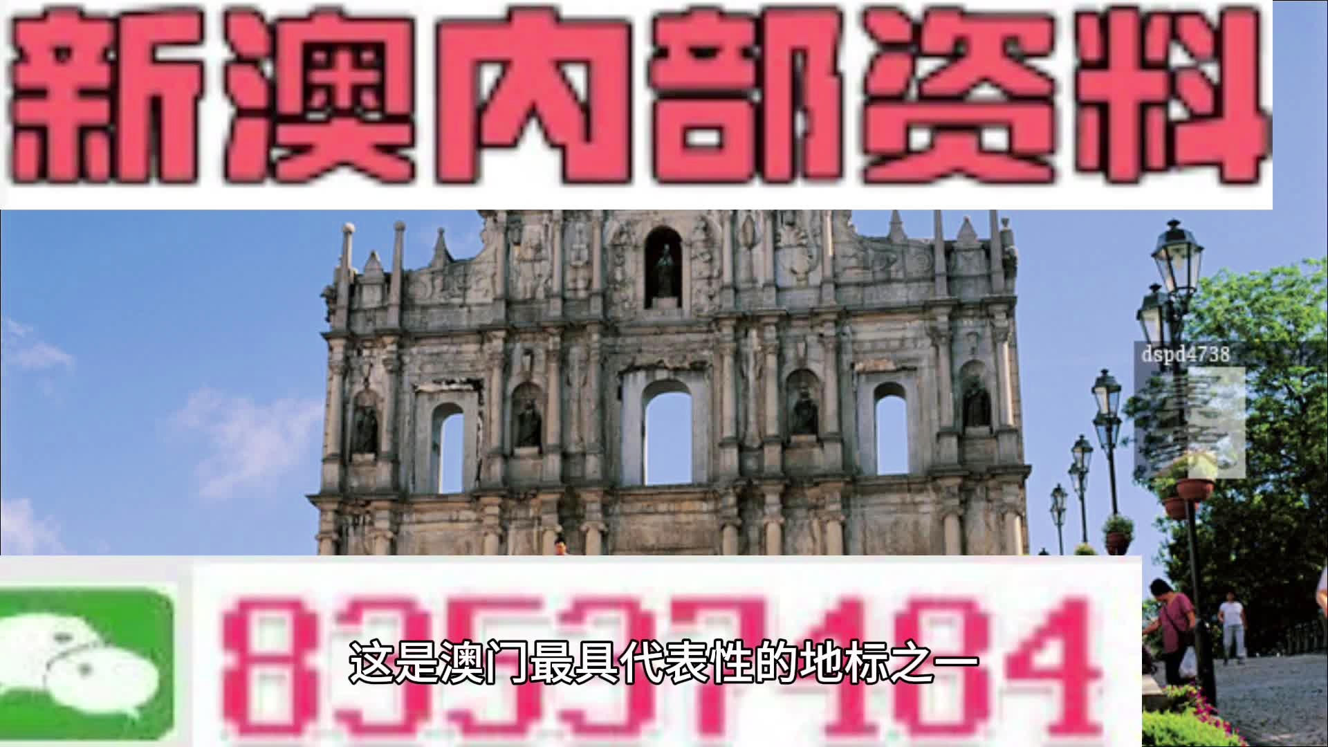 新澳门精准资料，揭秘期期精准的秘密，揭秘新澳门期期精准的秘密资料