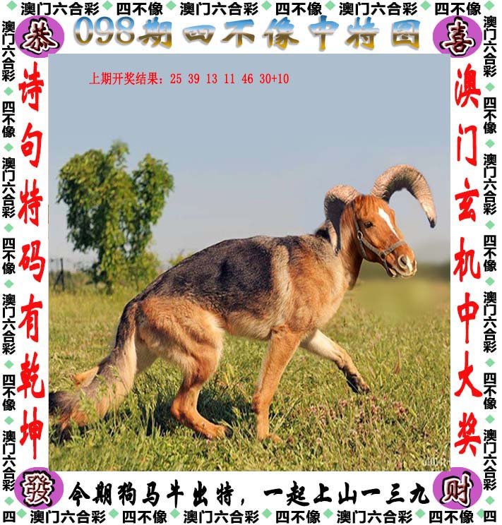 澳门风采第11期四不像图深度解析与探索，澳门风采第11期四不像图深度探索与解析