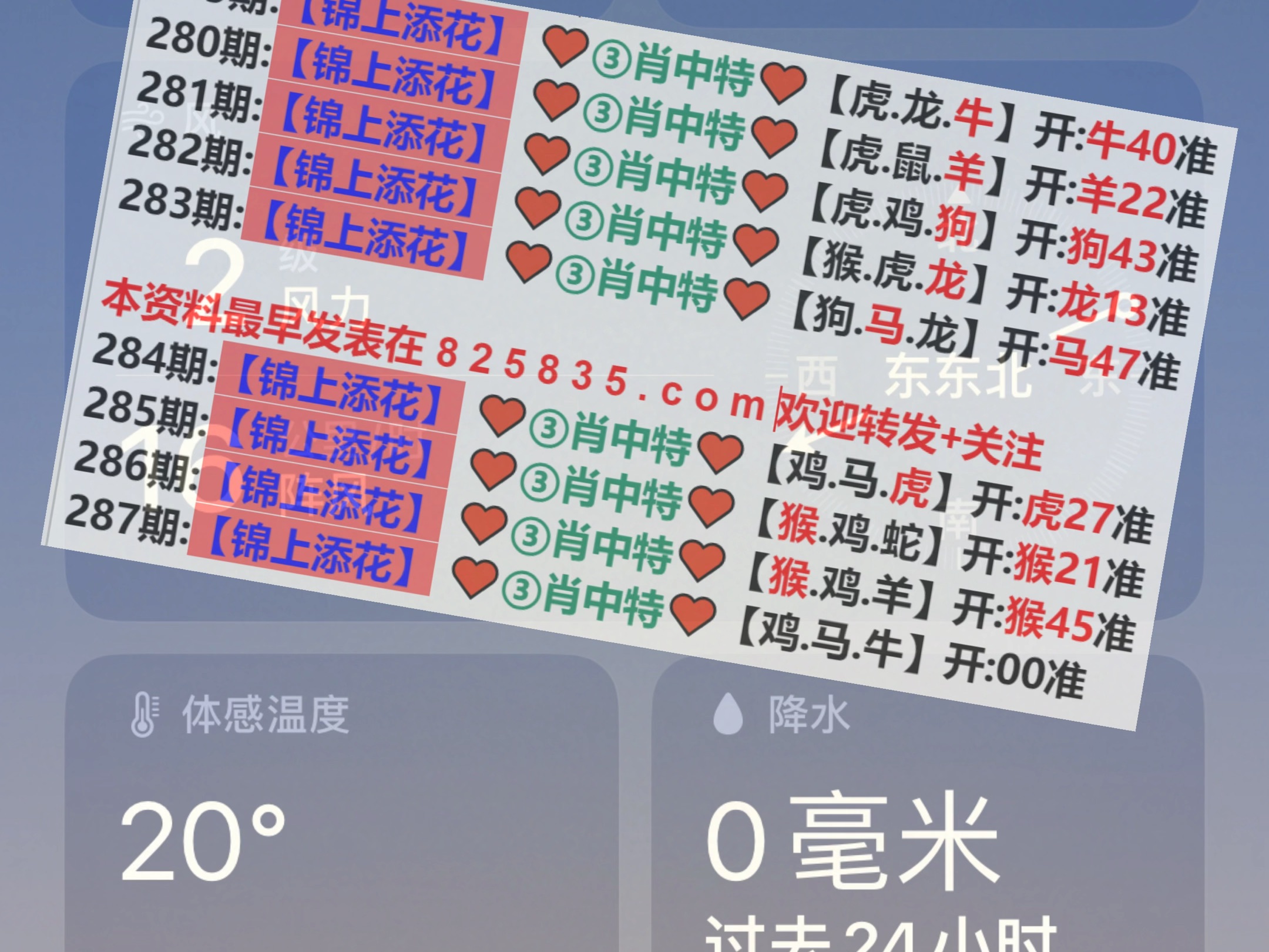 新澳2025年精准一肖一码，揭秘预测背后的秘密与策略，揭秘新澳2025年精准一肖一码预测背后的秘密与策略