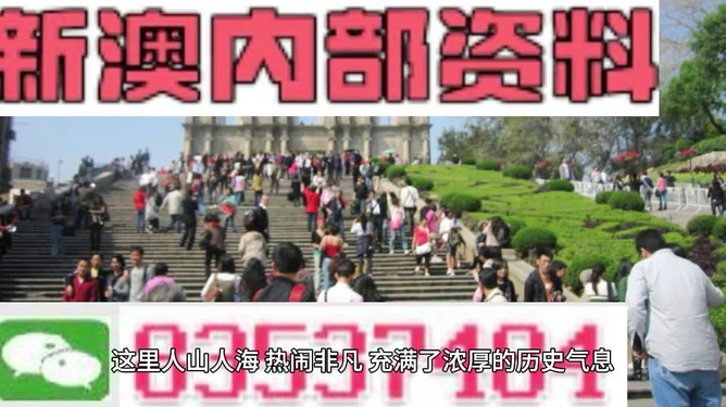 澳门最精准免费资料大全旅游团，探索澳门之旅的完美选择，澳门最精准免费资料大全旅游团，探索澳门之旅的不二之选