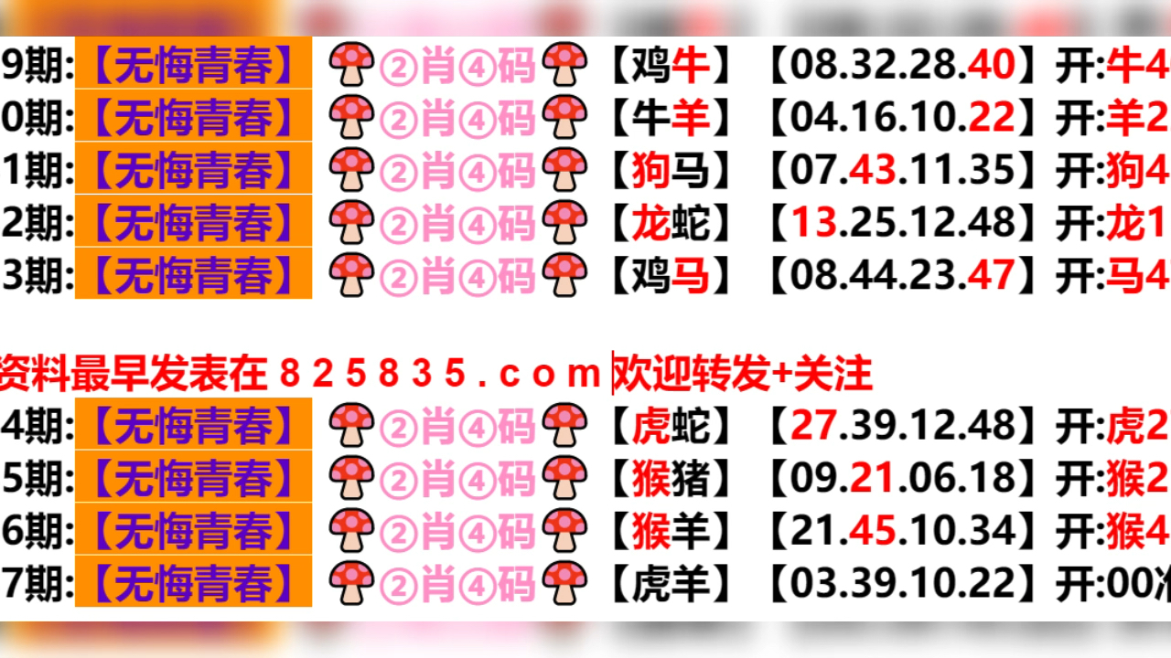 2025年新澳门天天开奖结果查询——全面解析与实时更新，澳门彩票开奖结果实时查询与解析，2025年全面更新与追踪