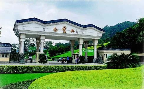 新澳门特免费资料大全凯旋门，探索澳门旅游的无尽魅力，澳门旅游魅力揭秘，新澳门特免费资料大全与凯旋门之旅