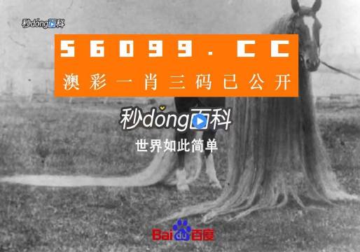 澳门一肖一码一必中一肖舟山，揭秘彩票背后的秘密与策略，揭秘彩票背后的秘密与策略，澳门一肖一码一必中一肖舟山探讨彩票投注技巧