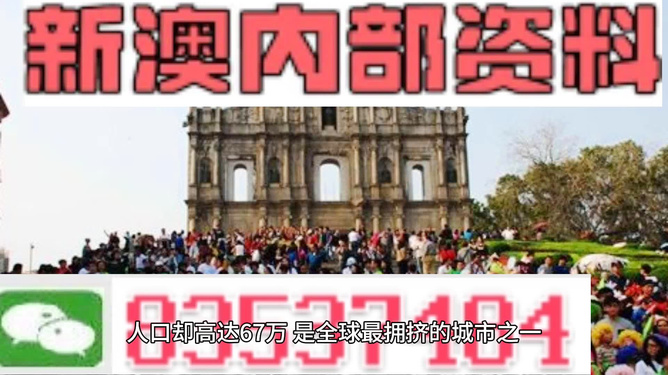 澳门免费资料大全精准版，探索与发现之旅，澳门精准免费资料大全，探索与发现的神秘之旅