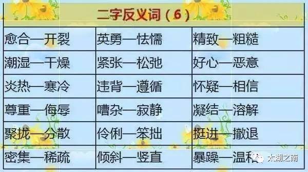澳门歇后语大全——准确率百分百，澳门歇后语大全——百分之百准确收录