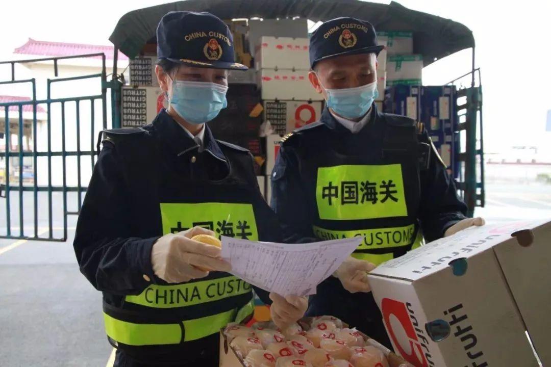 澳门最快开奖资料118，揭秘最新开奖动态与技巧，澳门最新开奖资料揭秘，快速获取开奖动态与技巧分享