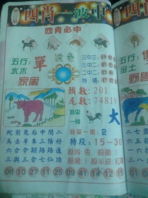 王中王367期指一生肖——深度解析与探索，王中王367期生肖深度解析与探索揭秘
