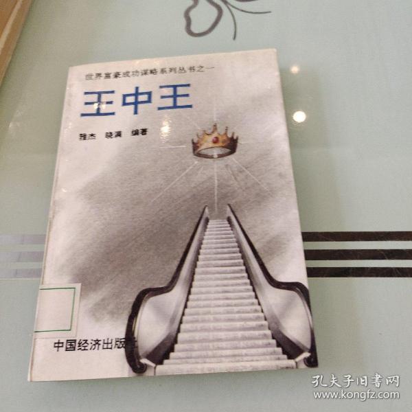 王中王资料与一肖中的奥秘，深度解析，王中王资料与一肖奥秘，深度解析揭秘