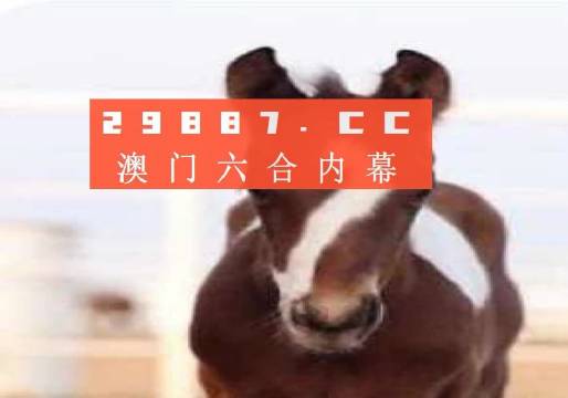 新澳门一码一码精准预测——揭秘真实准确的100%预测秘籍，揭秘澳门一码一码精准预测秘籍，真实准确的100%预测秘籍大揭秘