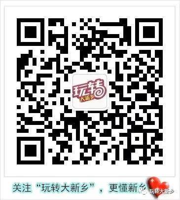 新奥门一码一肖100资料解析与探索，澳门一码一肖100资料解析与深度探索