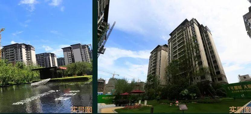 澳门242最快开奖结果，揭秘彩票开奖秘密与赢奖策略，澳门彩票开奖揭秘，最新结果及赢奖策略探讨