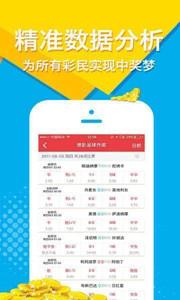 期期一肖王中王，揭秘生肖运势与SEO优化之道，揭秘生肖运势与SEO优化策略，期期一肖王中王解析
