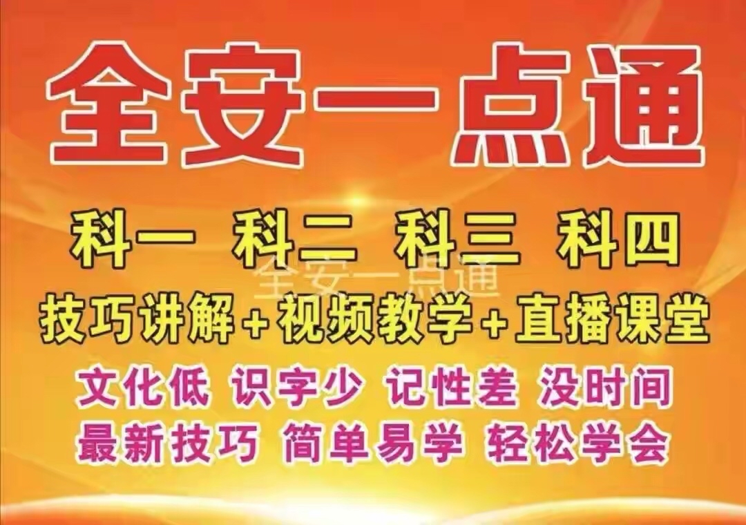 揭秘稳包三肖必中一期王中王的秘密策略，揭秘稳包三肖必中王中王的秘密策略，揭秘成功秘诀！