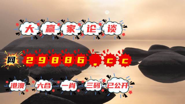 王中王资料公开一肖码，深度解析与探索，王中王资料公开一肖码，深度解析与探索揭秘