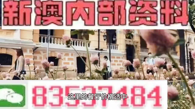 澳门今晚最快开奖，探索彩票的魅力与期待，澳门彩票开奖在即，探索彩票魅力，期待幸运降临