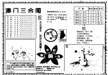 王中王资料一肖特中天，深度解析与SEO优化洞察，王中王资料一肖特中天，全面深度解析与SEO优化策略洞察