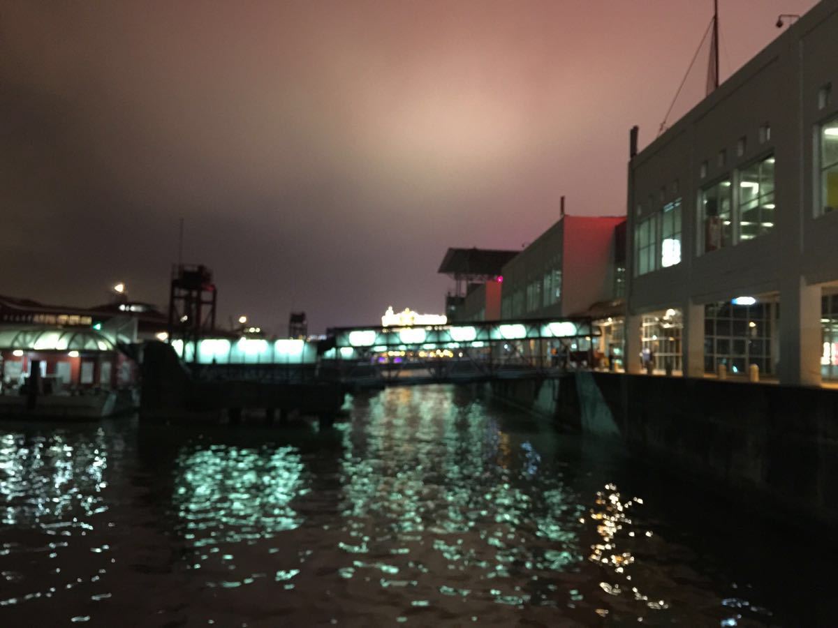 澳门的今天晚上开什么码头——深度解析澳门码头运营及今晚可能的动态，深度解析澳门码头运营，今晚澳门码头动态及预测