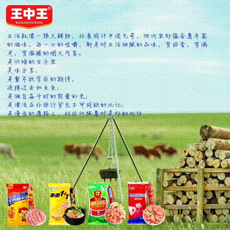 王中王资料与一肖中地图，深度解析，王中王资料与一肖中地图深度剖析