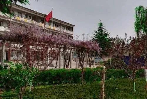 一码三中三资料中奖，揭秘彩票中奖秘密，助你走向人生巅峰！，揭秘彩票中奖秘密，一码三中三资料助你走向人生巅峰！