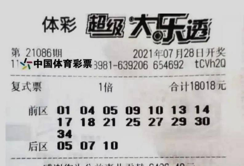 王中王086期指一生肖，深度解读与SEO优化策略，王中王086期生肖深度解读与SEO优化策略全解析