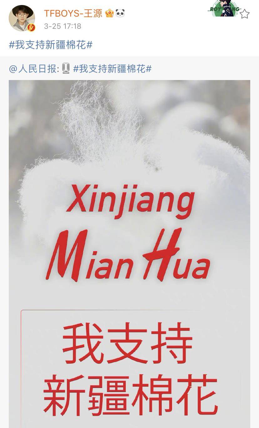 曾夫人王中王精准一肖，揭秘生肖预测的神秘面纱，揭秘生肖预测神秘面纱，曾夫人王中王精准一肖预测解析